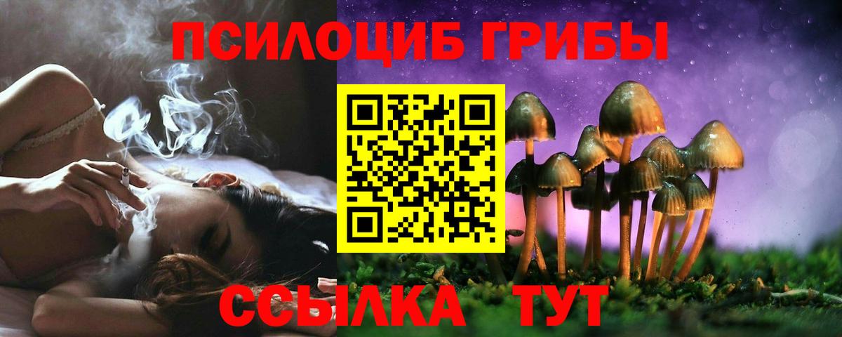 Галлюциногенные грибы мицелий  закладка  Баксан  Вход с VPN 
